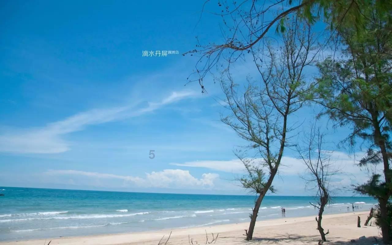 老有所乐——民生银行福州分行为老年群体提供更为周到暖心的金融服务
